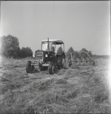 Skan Negatywu, Sygnatura 7150