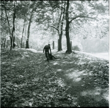 Skan Negatywu, Sygnatura 2079