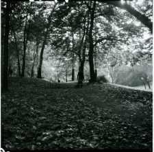 Skan Negatywu, Sygnatura 2079