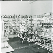 Skan Negatywu, Sygnatura 2464