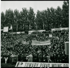 Skan Negatywu, Sygnatura 727