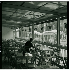 Skan Negatywu, Sygnatura 741