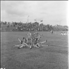 Skan Negatywu, Sygnatura 19096