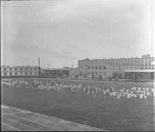 Skan Negatywu, Sygnatura 19096