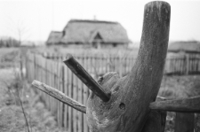 Skan Negatywu, 1 &ndash; 30 Muzeum Wsi Lubelskiej