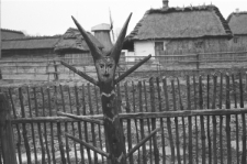 Skan Negatywu, 1 &ndash; 30 Muzeum Wsi Lubelskiej