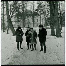 Skan Negatywu, Sygnatura 2595