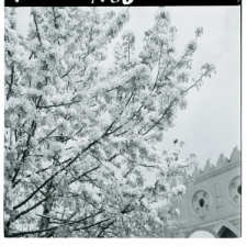 Skan Negatywu, 1 - 5 Kwitnące sady, 6 - 9 Migawki, 10 - 11 Rewaloryzacja Starego Miasta