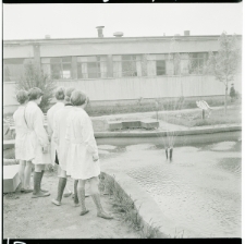 Skan Negatywu, Sygnatura 795