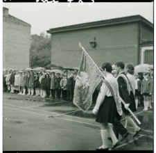 Skan Negatywu, Sygnatura 789