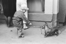 Skan negatywu, sygnatura 3245