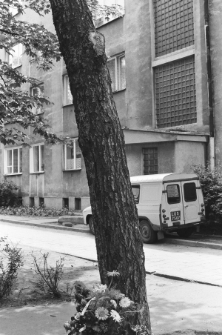 Skan negatywu, sygnatura 3276