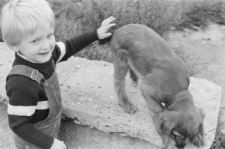 Skan negatywu, sygnatura 3405