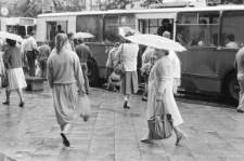 Skan negatywu, sygnatura 3409