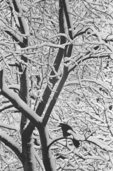 Skan Negatywu, Sygnatura 2892