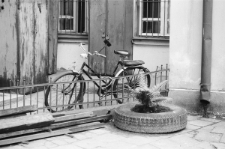 Skan negatywu, sygnatura 3213