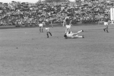 Skan Negatywu, Sygnatura 1144