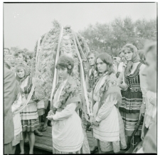 Skan Negatywu, Sygnatura 1299