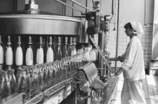 Skan negatywu, sygnatura 3370