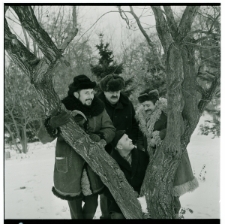 Skan Negatywu, Sygnatura 2589