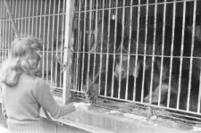 Skan Negatywu, Sygnatura 1712