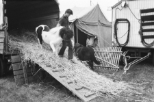 Skan Negatywu, Sygnatura 1712