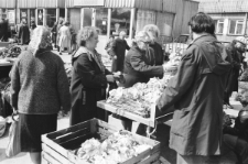 Skan Negatywu, Sygnatura 1715