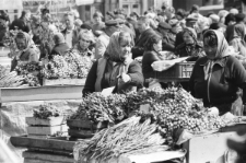 Skan Negatywu, Sygnatura 1715