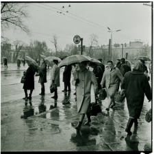 Skan Negatywu, Sygnatura 424