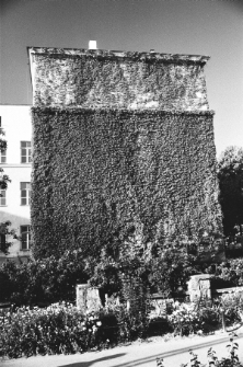 Skan negatywu, sygnatura 1923