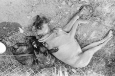 Skan negatywu, sygnatura 3381