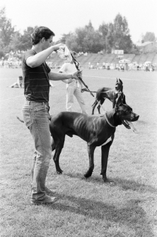 Skan negatywu, sygnatura 3381