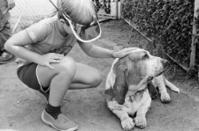 Skan negatywu, sygnatura 3381