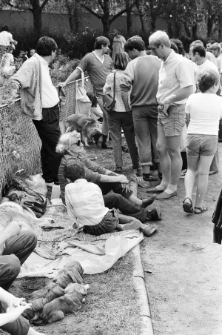 Skan negatywu, sygnatura 3381