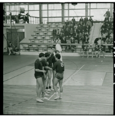 Skan Negatywu, Sygnatura 564