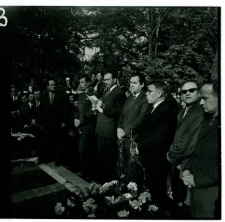 Skan Negatywu, Sygnatura 566