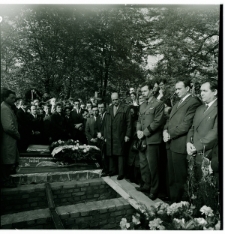 Skan Negatywu, Sygnatura 566