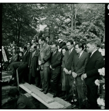 Skan Negatywu, Sygnatura 566