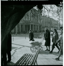 Skan Negatywu, Sygnatura 325