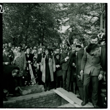 Skan Negatywu, Sygnatura 566