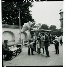 Skan Negatywu, Sygnatura 16663