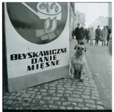 Skan Negatywu, Sygnatura 318