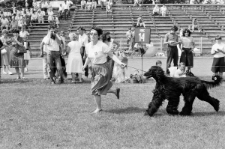 Skan negatywu, sygnatura 3385