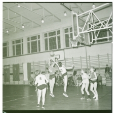 Skan Negatywu, Sygnatura 3863