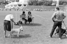 Skan negatywu, sygnatura 3385