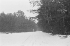 Skan Negatywu, Sygnatura 2948