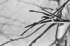 Skan Negatywu, Sygnatura 3074