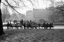 Skan Negatywu, Sygnatura 3074