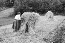 Skan negatywu, sygnatura 3361