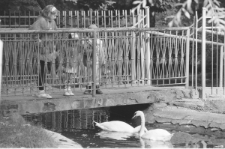 Skan negatywu, sygnatura 6813